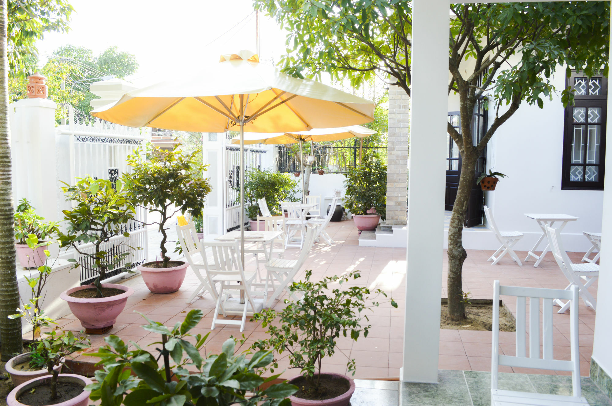 Halo Homestay Hoi An Exterior foto