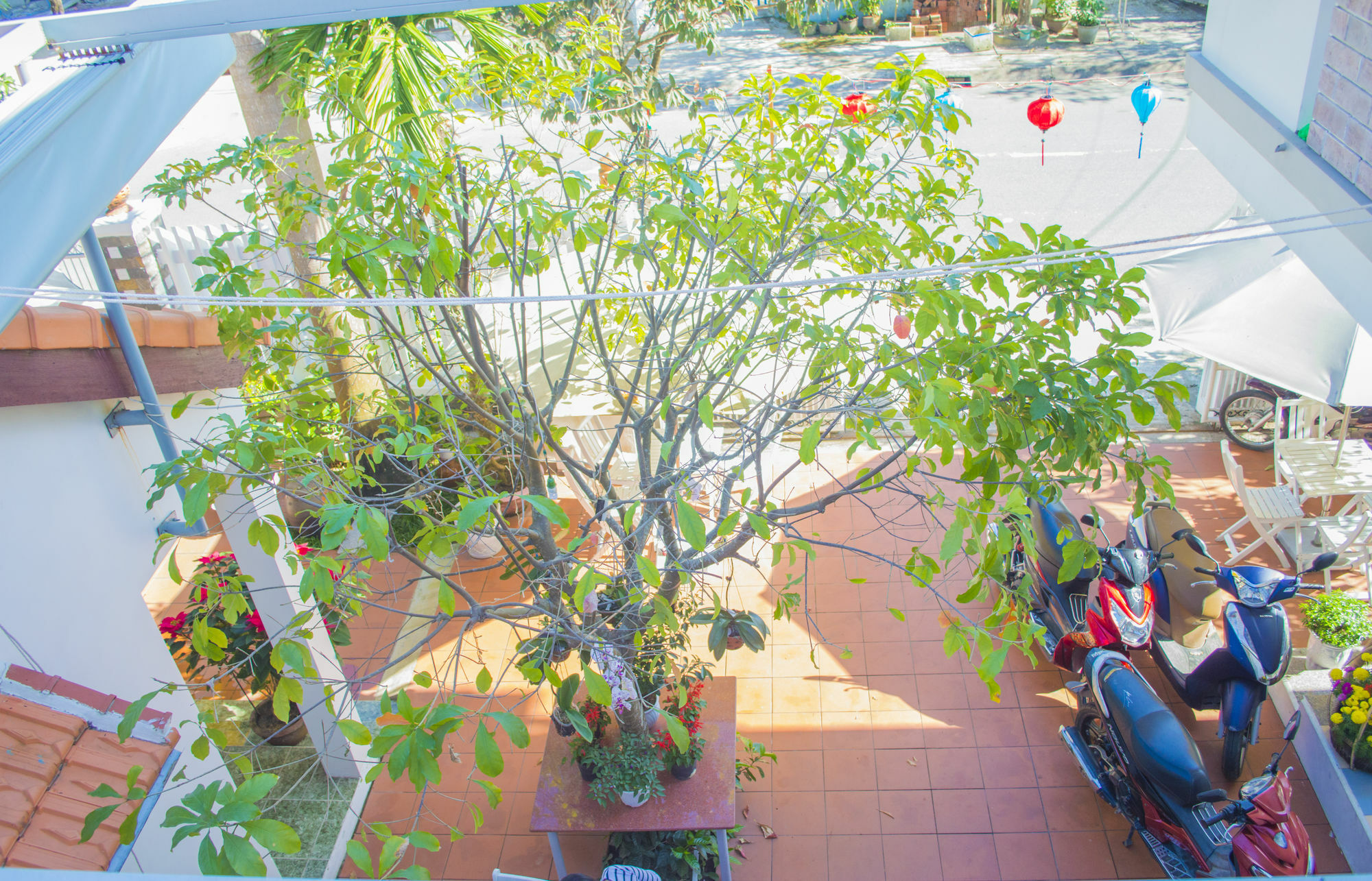 Halo Homestay Hoi An Exterior foto